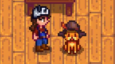 Stardew Valley 1.6 Update Troubles? Pet Hats May Be the Cause