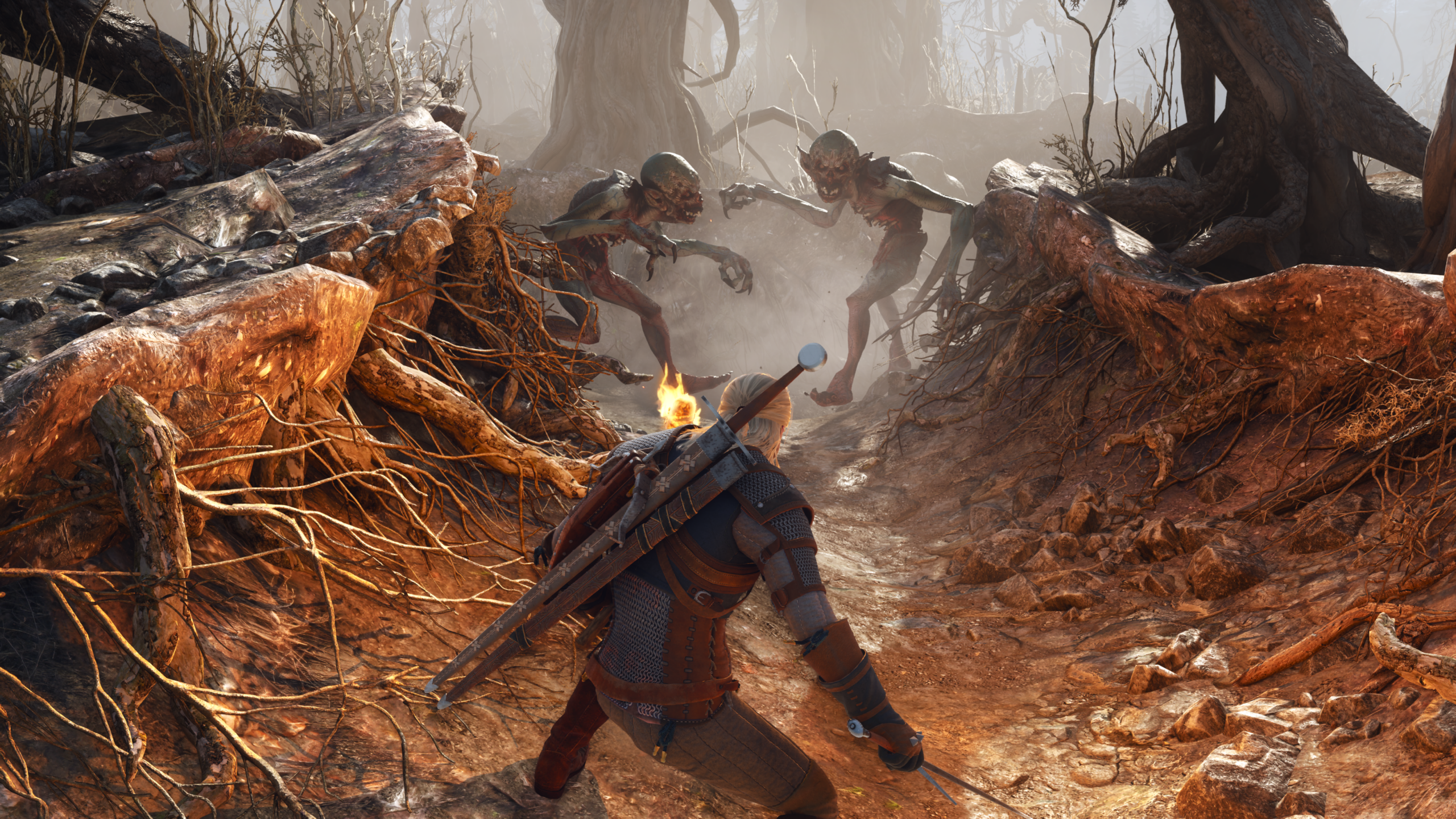 Witcher 3 Remaster Hits AMD GPU Problems